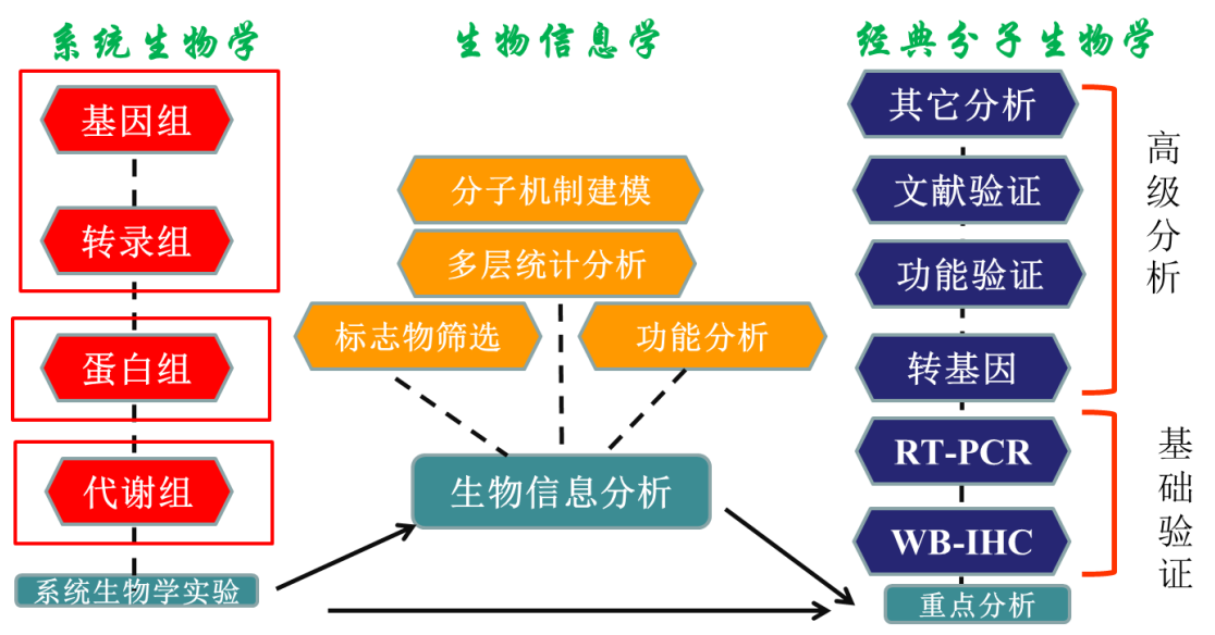 多層組學整合