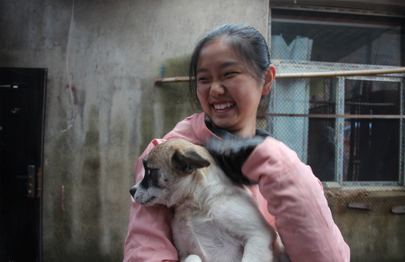 武漢市小動物保護協會