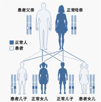 伴x隱性遺傳