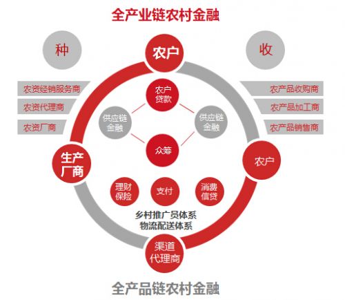 農村金融