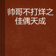 帥哥不打烊之佳偶天成