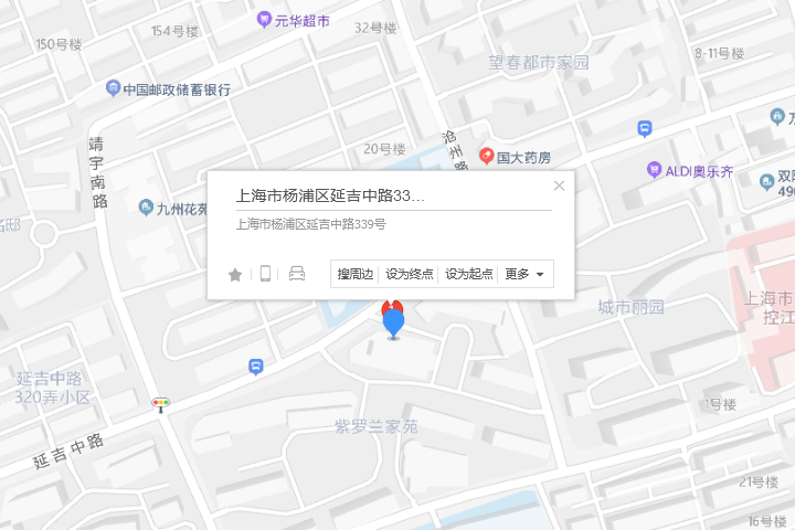 延吉中路339號