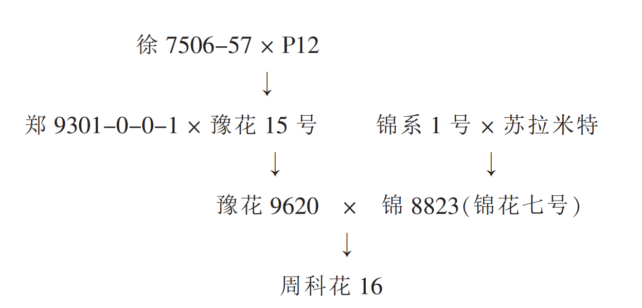 周科花16