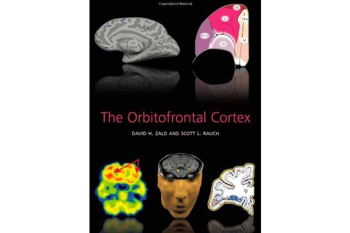 The Orbitofrontal Cortex