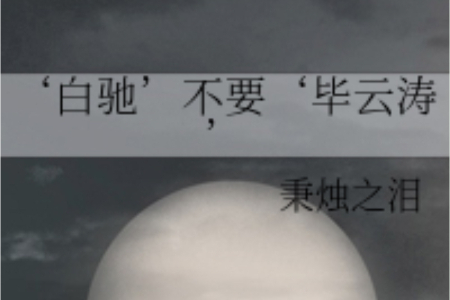 ‘白馳’不要‘畢雲濤’