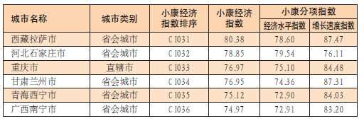 中國城市小康經濟指數報告