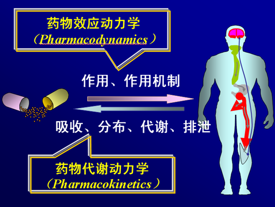 代謝學技術