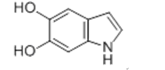 5，6-二羥基吲哚結構式