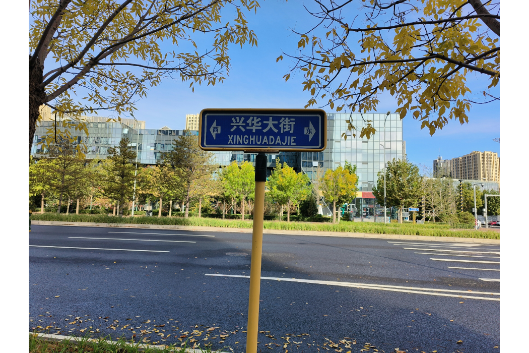 興華大街(北京市大興區境內街道)