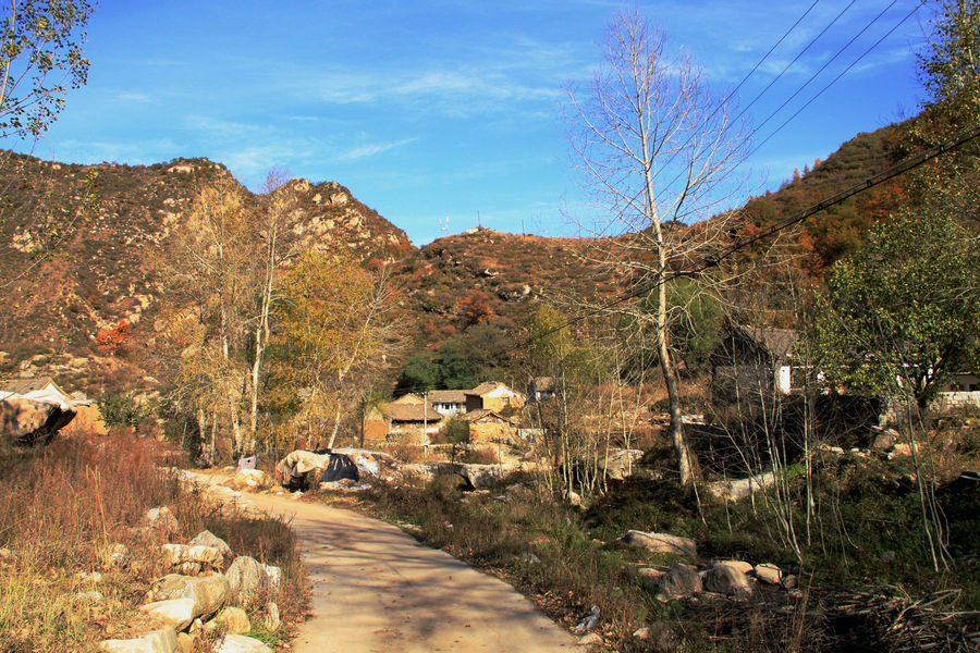 柳樹溝村(雲南省永勝縣永北鎮靈源柳樹溝自然村)