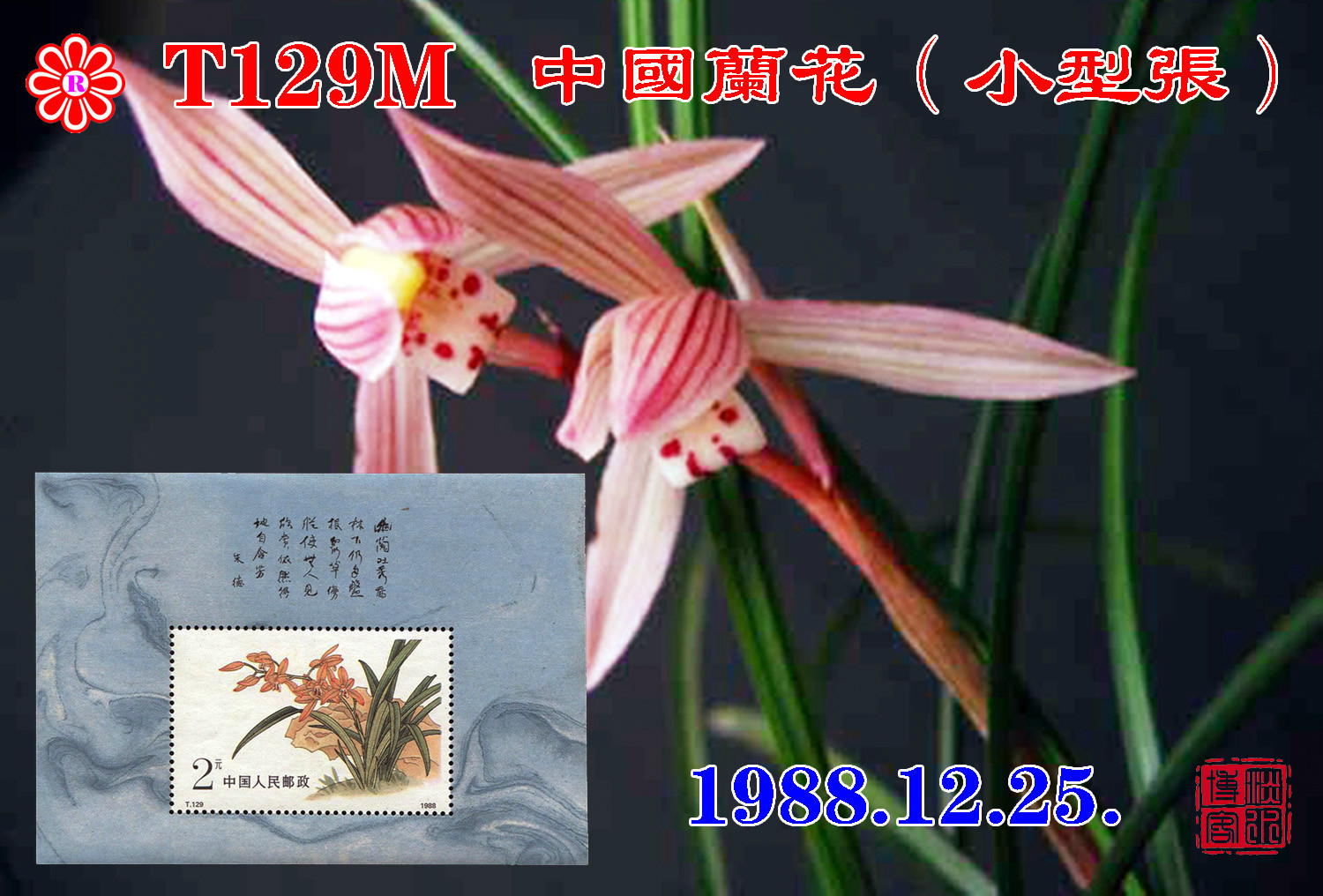 T129M 中國蘭花（小型張）