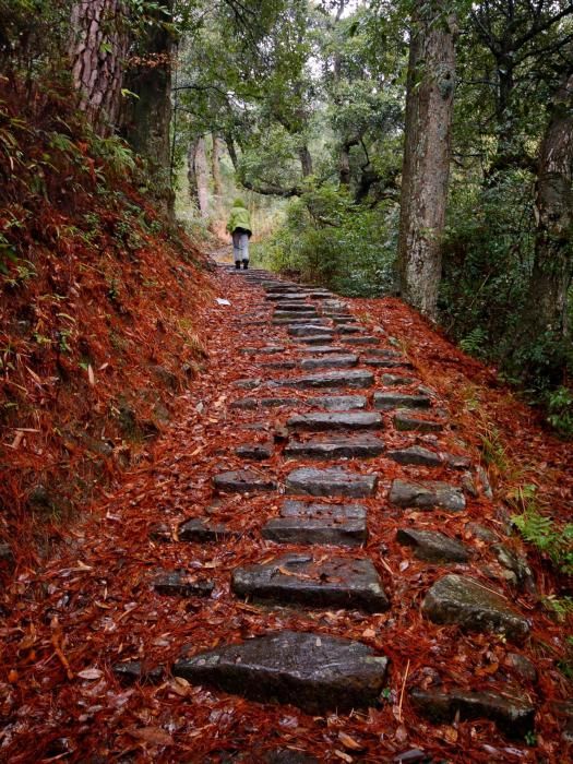 天關山古道