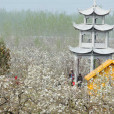 順河百年苗圃觀光園