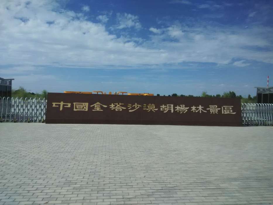 金塔沙漠森林公園