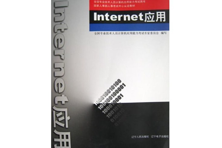 Internet 套用