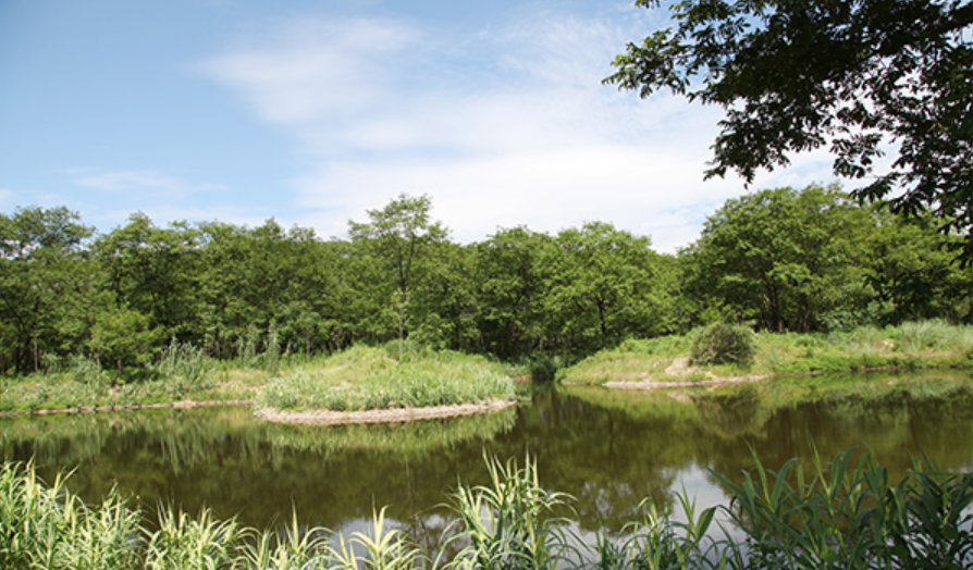 浙江麗水九龍國家濕地公園