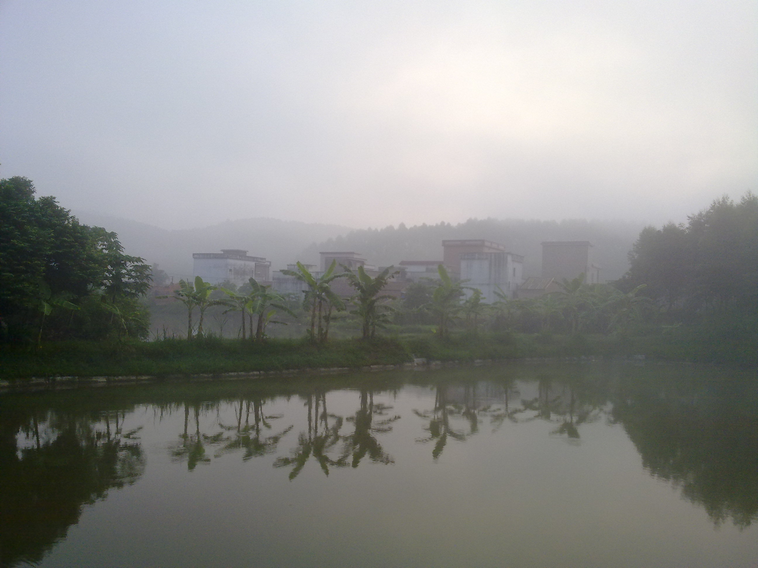 天湖村魚塘