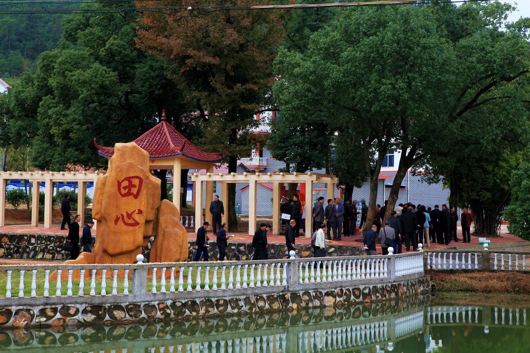 田心村(雲南富民縣羅免鎮下轄村)