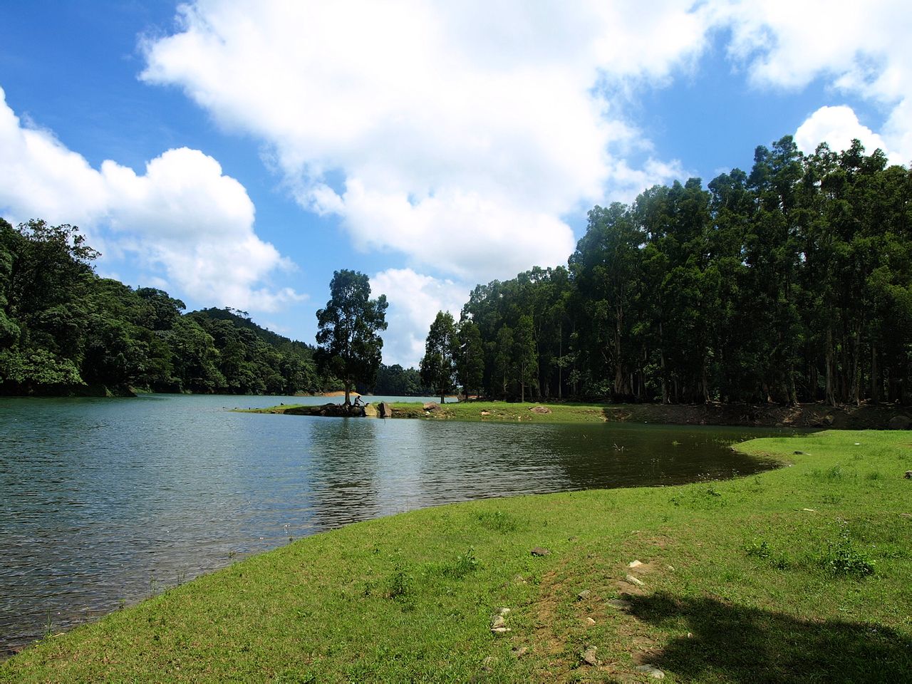 城門風水樹林特別地區