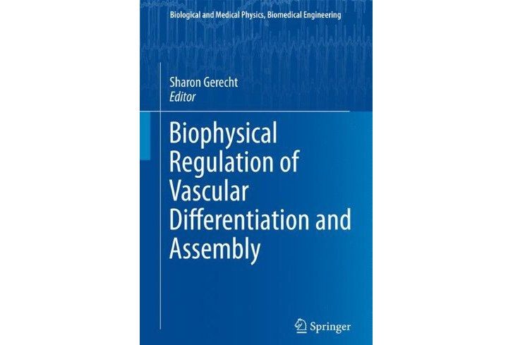 Biophysical Regulation of Vascular Differentiation and Assembly