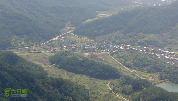 中山村(楚雄市中山鎮中山村委會下轄村)