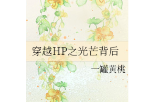 穿越HP之光芒背後