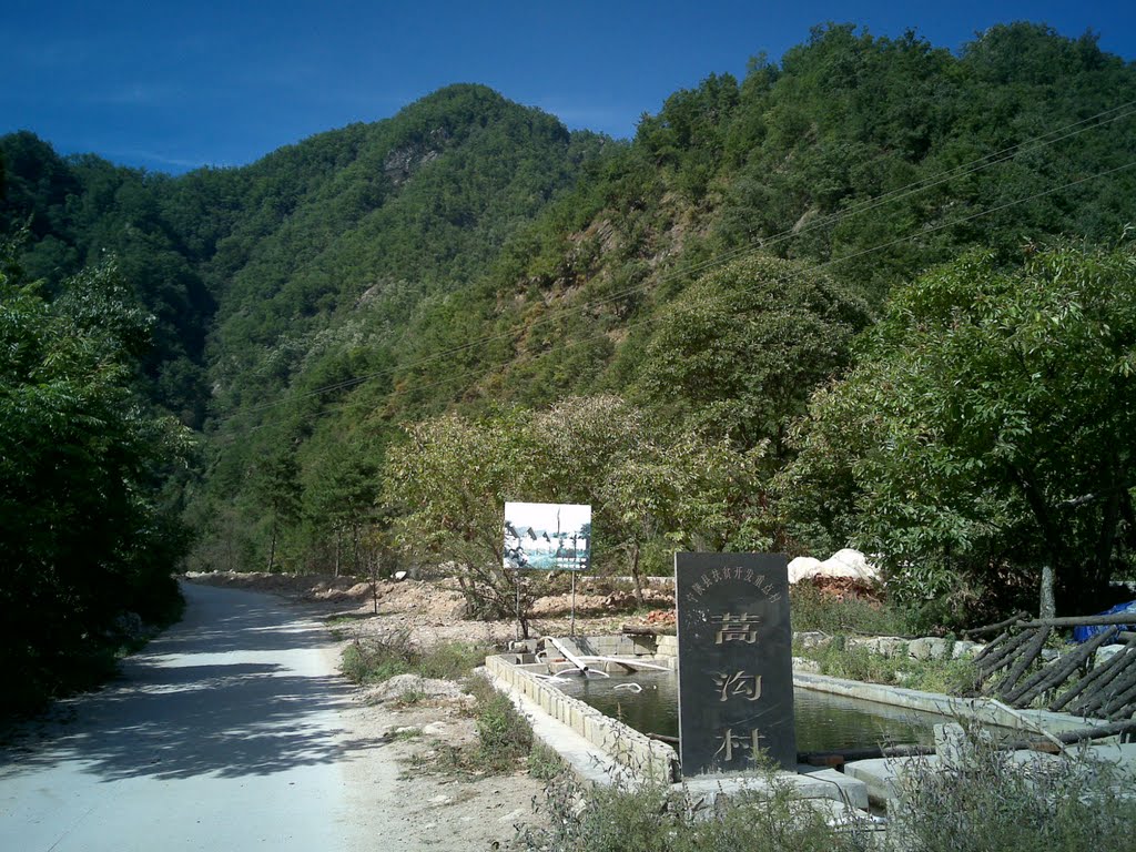 蒿溝村(安徽省埇橋區蒿溝鄉下轄村)