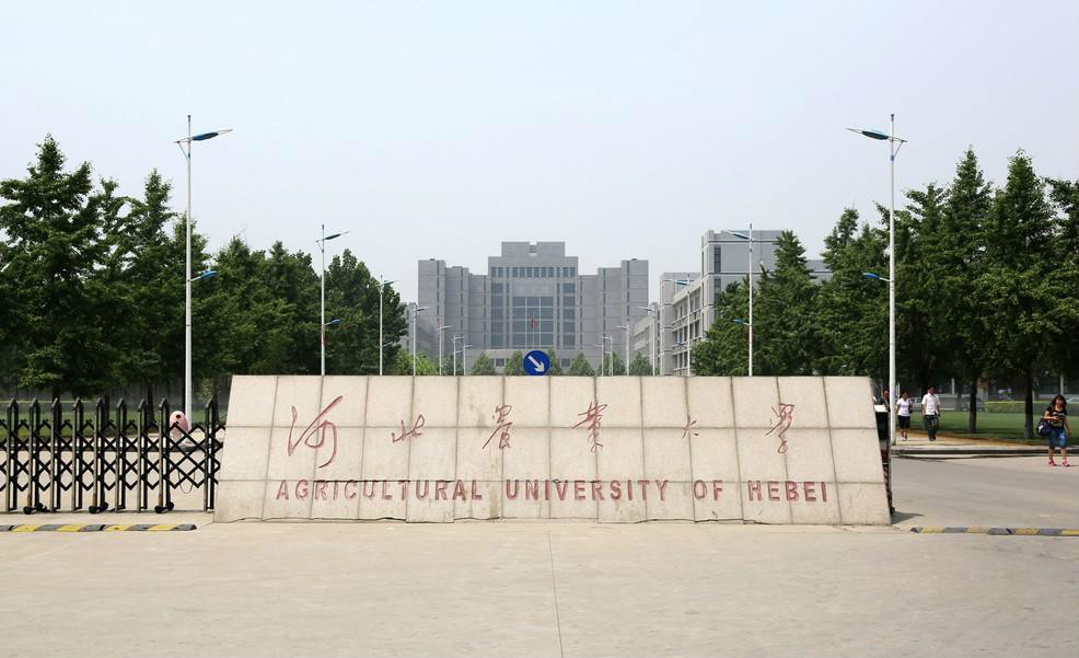 河北農業大學大學生就業創業協會