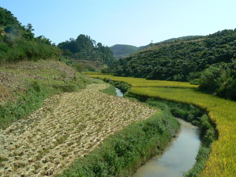 水溝