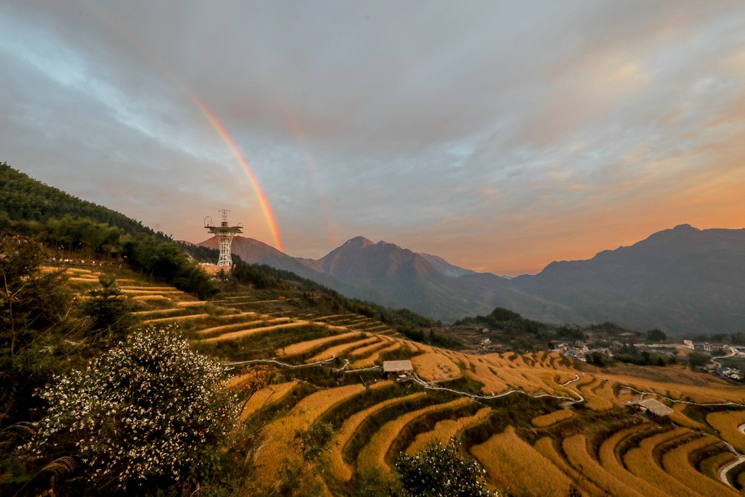 雲和梯田景區