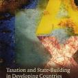 Taxation and State-building in Developing Countries