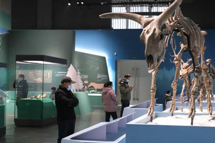 古獸傳奇——大連第四紀古生物化石特展