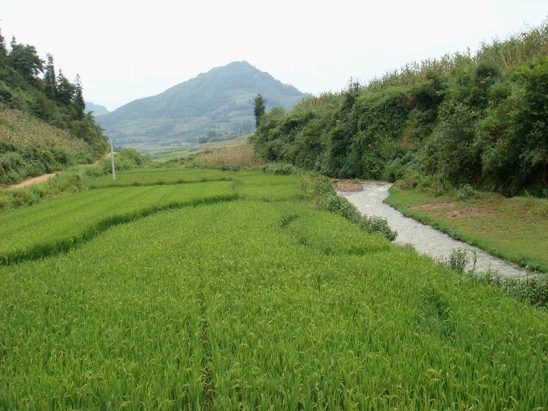 三門洞村