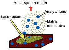 MALDI-MS