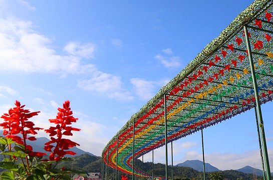 羅浮山那裡花開主題公園