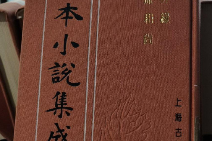 意外緣(清代白話長篇世情小說)