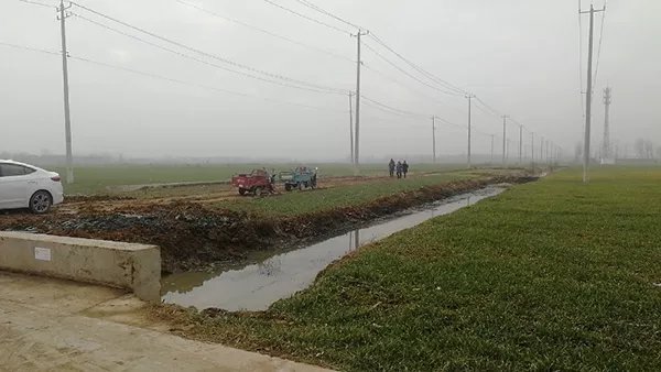 灌雲死豬被棄河溝事件