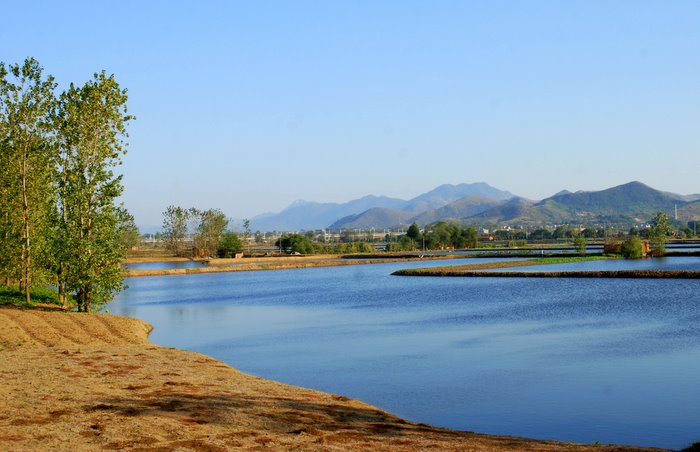 文湖村(福建寧德蕉城區霍童鎮文湖村)