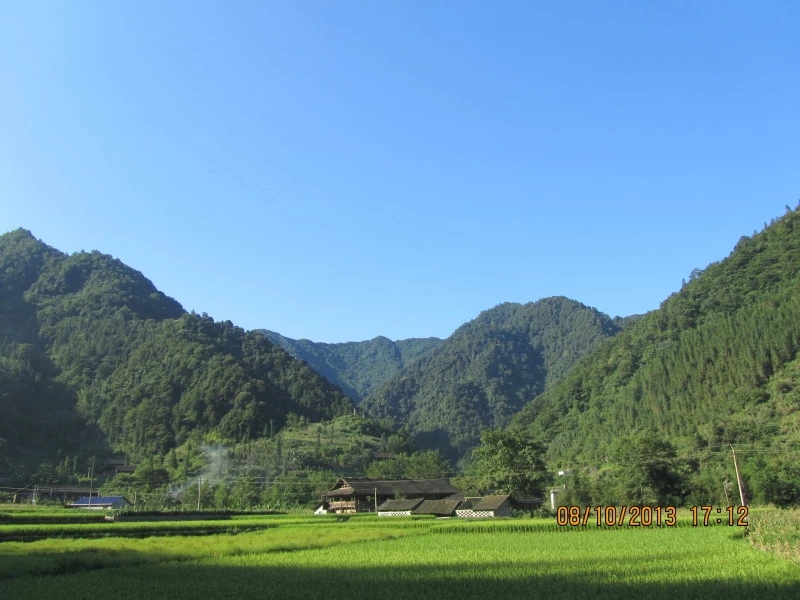 茶葉村(湖南省桑植縣茶葉村)