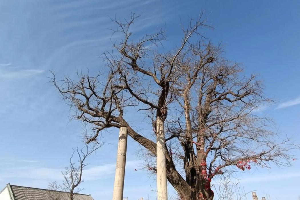 青雲寺(山東省諸城市寺廟)