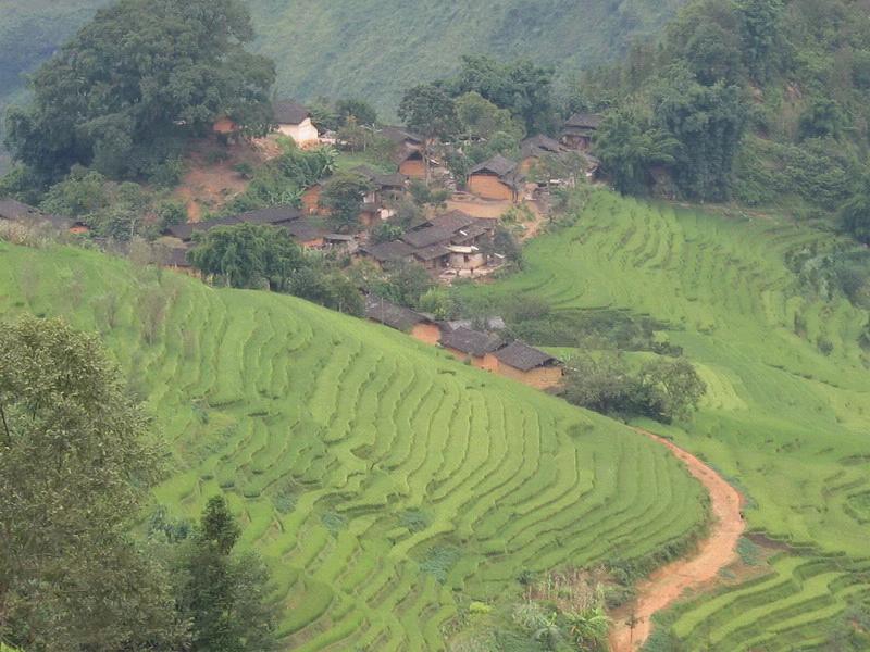 進村道路