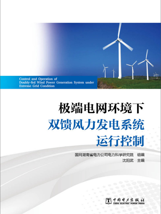 極端電網環境下雙饋風力發電系統運行控制