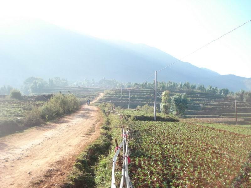 進村道路