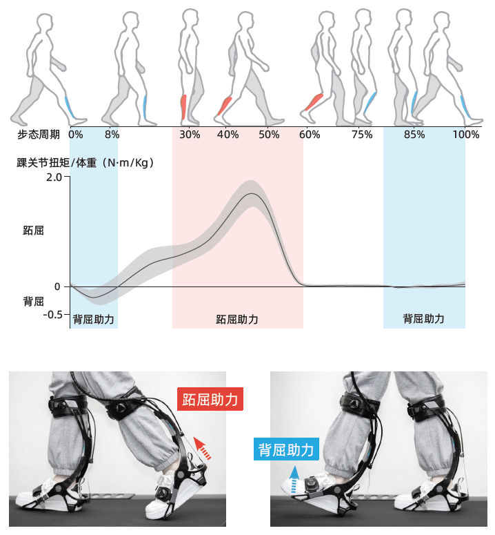 肌肉外甲