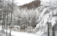 伏牛山滑雪度假樂園