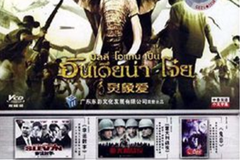 靈象愛(DVD)