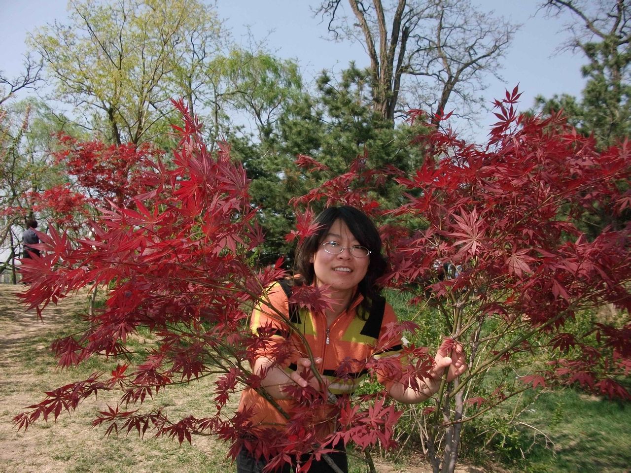 董平(北京十一學校著名教師)