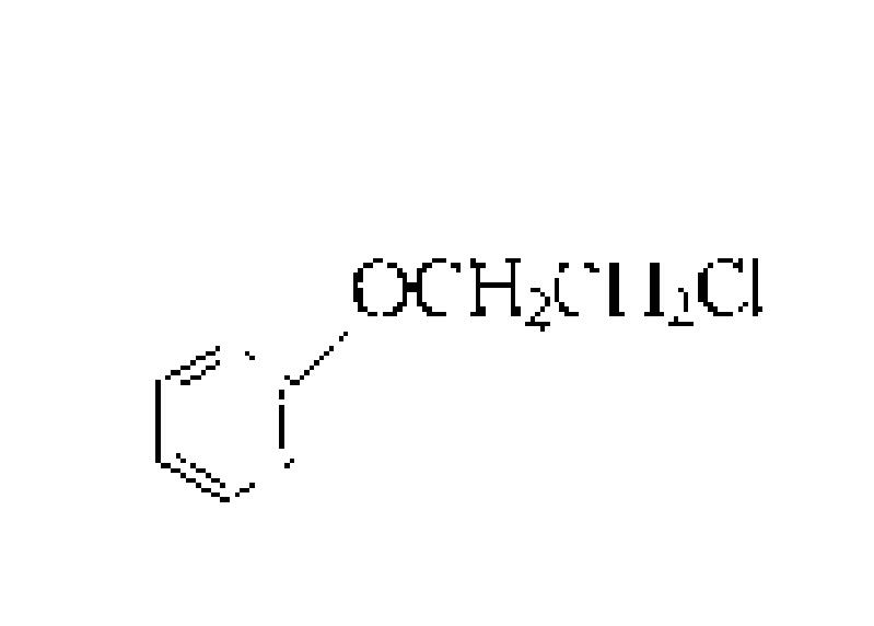 B-氯乙基苯基醚