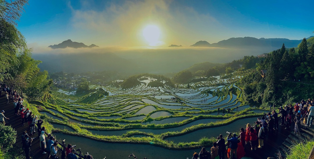 雲和梯田景區