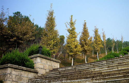 寺前鎮朴初公園